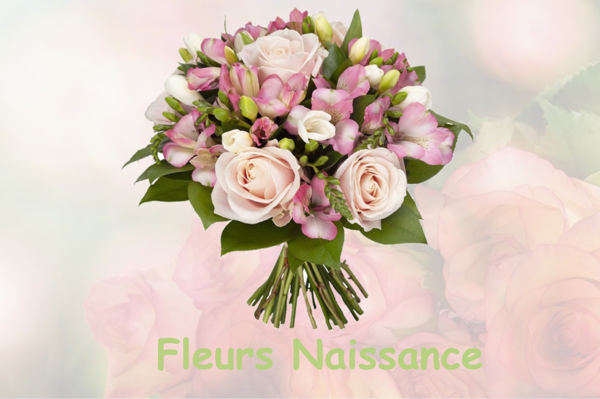 fleurs naissance GRANDVILLERS-AUX-BOIS